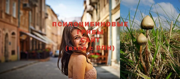 jwh Алзамай