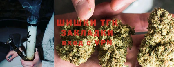соль ск Алексин