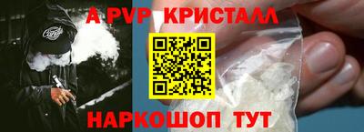 прущие крисы Кингисепп