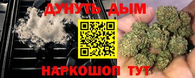 прущие крисы Кингисепп