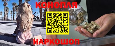 прущие крисы Кингисепп