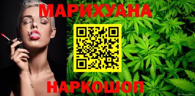 прущие крисы Кингисепп