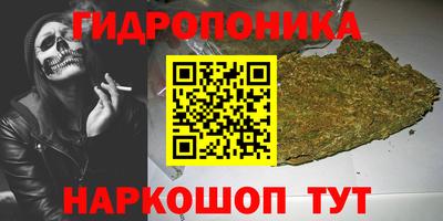 прущие крисы Кингисепп