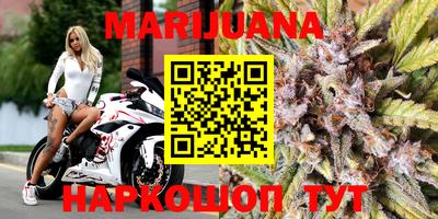 прущие крисы Кингисепп