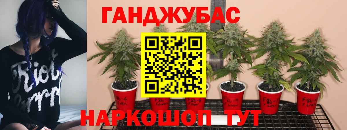 Шишки марихуана семена Курганинск